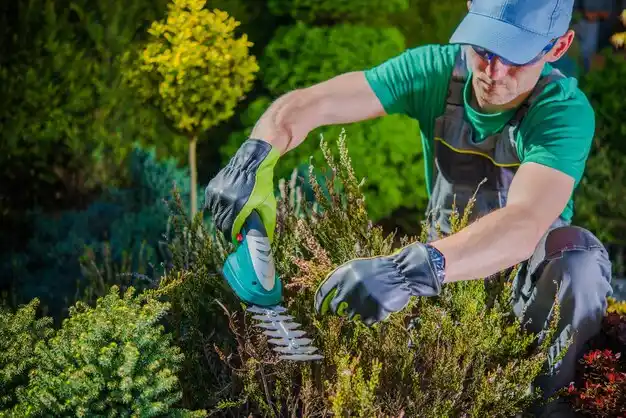 landscaping services Fife Lake